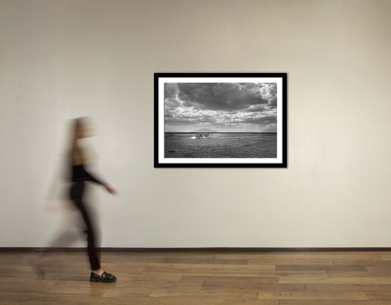 36 x 48 in., edition of 15
